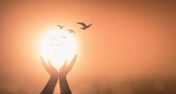Silhouette Mains Prière Avec Des Oiseaux Volant Sur Fond Coucher — Photo