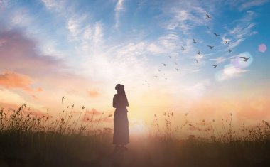 Siluet gezgini, kuşlarla birlikte cennetin arka planında uçuyor.