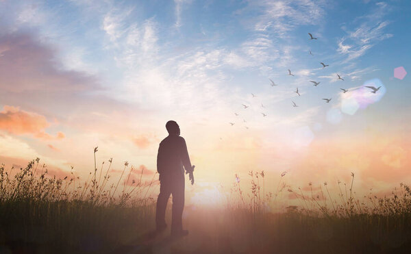 Praise and worship God concept: Silhouette of healthy man standing against meadow sunset background