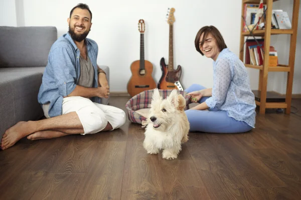 Evde bir köpek ile genç Çift.