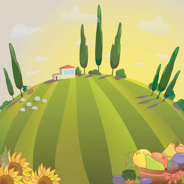 Το τοπίο χωριού με ηλιοτρόπια και φρούτα. Αγρόκτημα πρόβατα και συγκομιδή. Εικονογράφηση ηλιοβασίλεμα πάνω από τα λιβάδια — Διανυσματικό Αρχείο