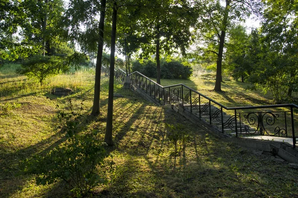 Parktaki merdivenler.