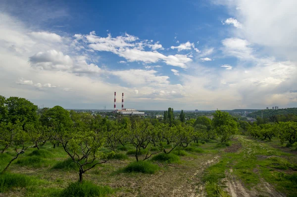 Sanayi bölgesi arasında Park — Stok fotoğraf