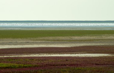 Kavrulmuş Gölü bozkır manzara