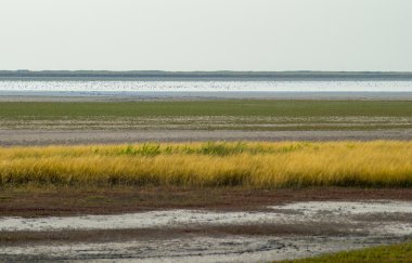 Kavrulmuş Gölü bozkır manzara
