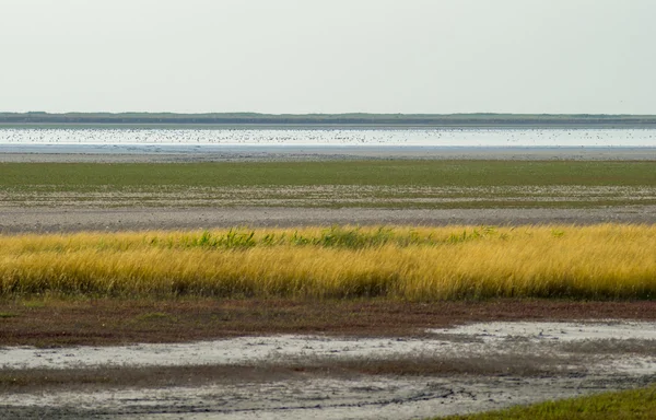 Kavrulmuş Gölü bozkır manzara