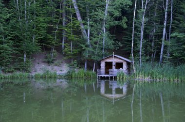 Göl kenarındaki ahşap ev