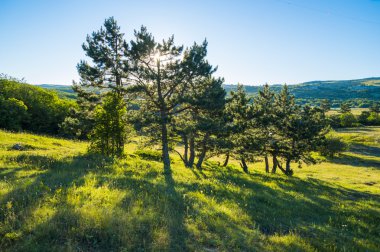 Yaz Kırım Mountain View