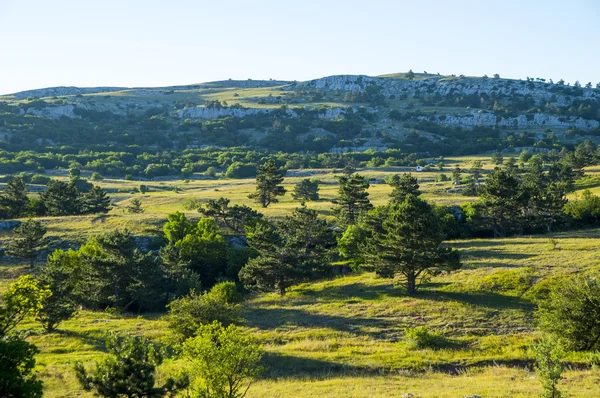 Yaz Kırım Mountain View