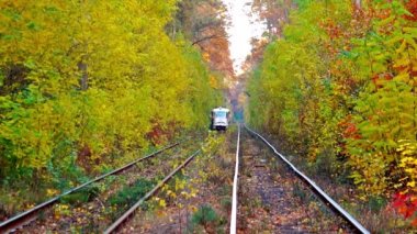 tramvay sonbahar orman gezintisi