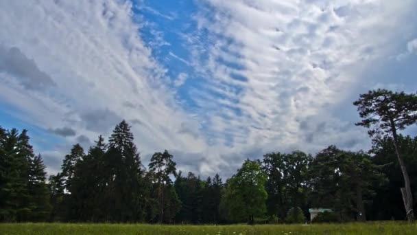 Zomer park en wolken timelapse — Stockvideo