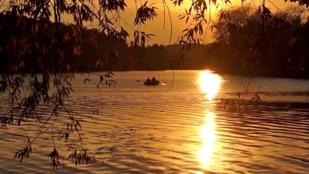Boot vaart in de zonsondergang — Stockvideo