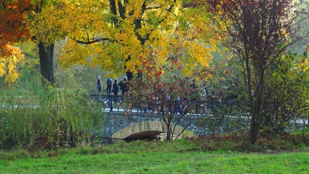 Puente en el parque — Vídeos de Stock