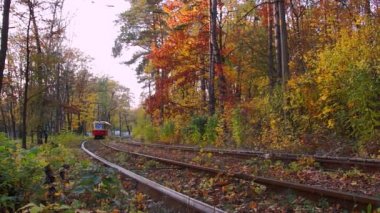 Sonbahar ormanda tramvay