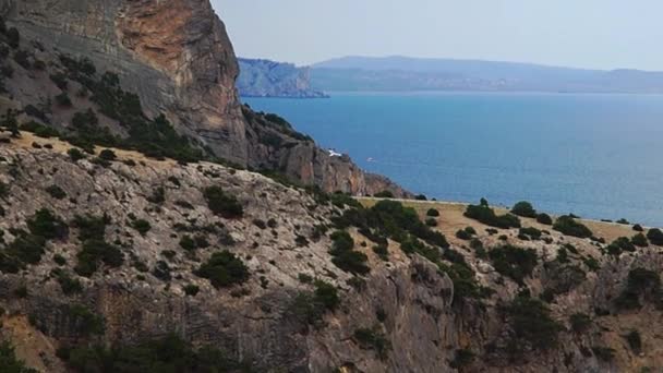mouette survolant la mer