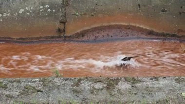 Bir beton toplayıcıda kahverengi renkli belediye atığı drenajı