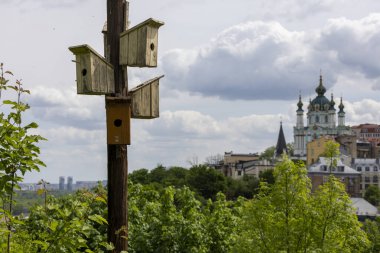 Parkta asılı bir sürü renkli ahşap kuş evi olan dikey arka plan göçmen kuşların baharda gelmesini bekliyor.