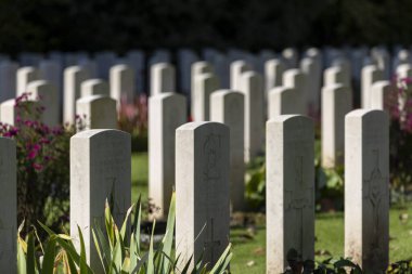 Ehrenfriedhof II. Dünya Savaşı askeri mezarlığı Köln 'de. Sudfriedhof Köln 'deki Şeref Mezarlığı' nın beyaz mezar taşları