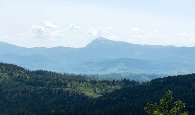 Yazın, Karpat ormanlarının güzel doğal bir manzarası. Orman ekosistemi, orman dağı. Doğal manzara: Yeşil orman. Seyahat fotoğrafı, kimse yok..