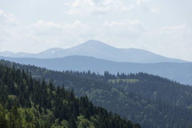 Yazın, Karpat ormanlarının güzel doğal bir manzarası. Orman ekosistemi, orman dağı. Doğal manzara: Yeşil orman. Seyahat fotoğrafı, kimse yok..
