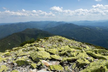 Karpatlar 'ın yaz manzarası. Gün batımında dağ sırasının zirvesine yakın yamacın tepesindeki çimlerin arasında büyük taşlar olan çayır.