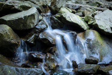 Yazın Karpat Dağları 'ndaki kayaların arasında bir dağ şelalesi.