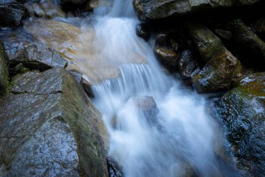 Yazın Karpat Dağları 'ndaki kayaların arasında bir dağ şelalesi.