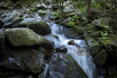 Yazın Karpat Dağları 'ndaki kayaların arasında bir dağ şelalesi.