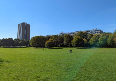 Ağaçlarla çevrili geniş bir açıklık alan olan şehir parkı manzarası dinlenmek, yürümek ve dinlenmek için huzurlu bir yeşil alan sunuyor.