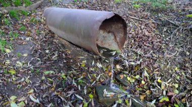 İçinden su sızan eski bir demir boru.