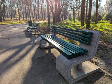Tahta banklar güneşli bir sonbahar parkında durur, altın yapraklar ve sıcak ışıklarla çevrili, parlak ve davetkar bir mevsim manzarası yaratır..