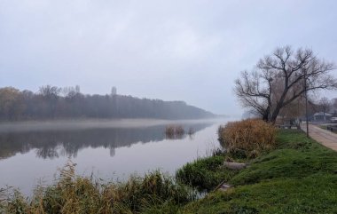Sakin bir nehir bulutlu bir sonbahar gününde sise dönüşür, kıyı boyunca uzanan uzun sazlıklar yumuşak, sessiz bir mevsim manzarası yaratır..