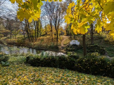 Güzel bir sonbahar parkı, zemini sıcak sarı ve turuncu gölgelerle kaplayan, sessiz bir gölü çevrelemektedir. Durgun su ağaçları ve gökyüzünü yansıtır, sakin ve doğal güzelliklerle dolu huzurlu mevsimsel bir sahne yaratır..
