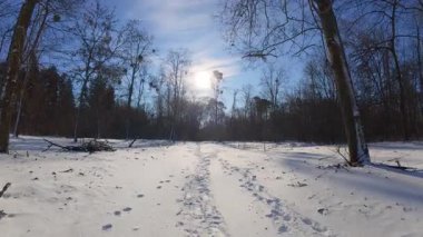 Karla kaplı bir patika boyunca güneşli bir kış parkında yürüyorum. Yumuşak ışık, temiz hava ve huzurlu çevre, sakin açık hava manzarasını vurgular..