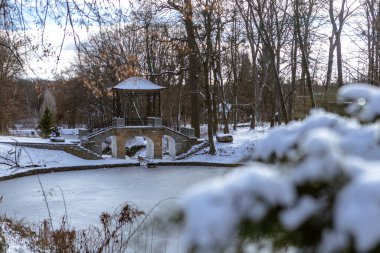 Güneşli bir günde karlı bir kış parkı. Parlak güneş ışığı taze karı yansıtır, çıplak ağaçlardan gölgeler bırakır ve sakin, huzurlu ve kıtır kıtır mevsimlik bir atmosfer yaratır..