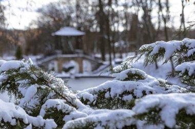 Güneşli bir günde karlı bir kış parkı. Parlak güneş ışığı taze karı yansıtır, çıplak ağaçlardan gölgeler bırakır ve sakin, huzurlu ve kıtır kıtır mevsimlik bir atmosfer yaratır..