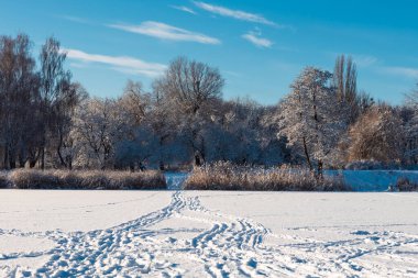 Donmuş bir gölet ve açık mavi bir gökyüzünün altında karla kaplı ağaçların bulunduğu nefes kesici bir kış manzarası. Parlak güneş ışığı karların parlamasını sağlıyor, doğada dingin ve el değmemiş bir atmosfer yaratıyor..