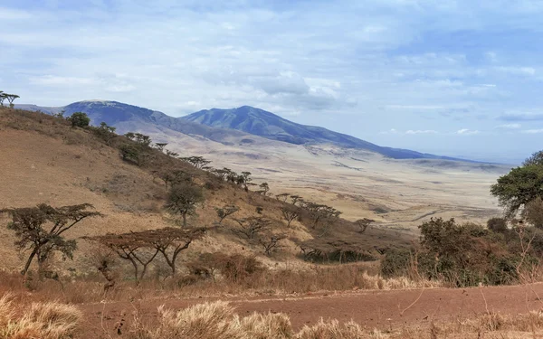 Ngorongoro National park — Stock Photo, Image