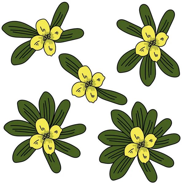Комплект Сгустков Зеленых Листьев Желтым Цветком Центре Простой Яркий Цветок — стоковый вектор