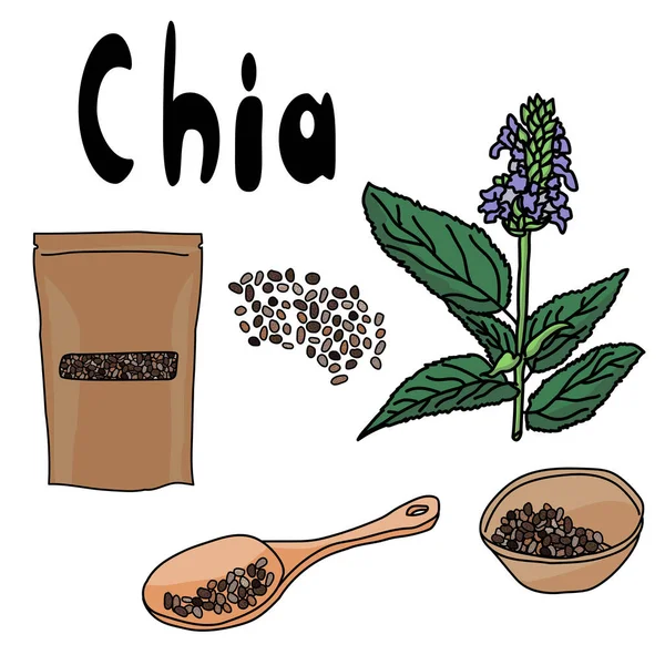 Комплект Суперпродуктов Chia Семена Ложке Миске Упаковке Цветущее Растение Salvia — стоковый вектор