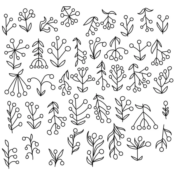ベリーとファンタジーの葉を持つドアの小枝のセット 細い線からの自然なモチーフ デザインと創造性のためのベクトルアウトラインイラスト — ストックベクタ