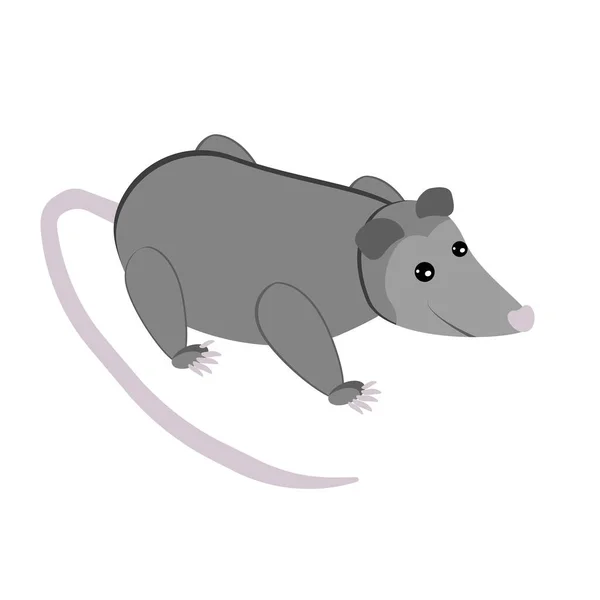 Possum Mignon Marsupial Gris Plat Animal Sauvage Avec Illustration Vectorielle — Image vectorielle