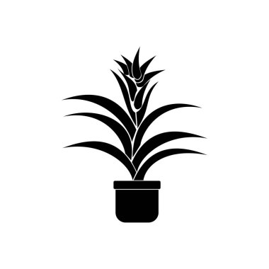 Bromeliad bitkileri, sulu çiçekli ve sert yapraklı kapalı alan bitkilerinin silueti, çiçek kabı illüstrasyonlu ikon