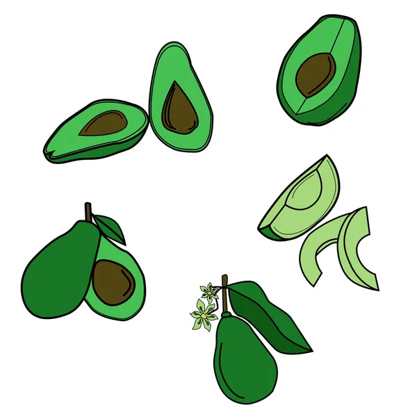 Set Aguacate Rodajas Enteras Fruta Verde Con Ilustración Vectorial Hoyos — Archivo Imágenes Vectoriales