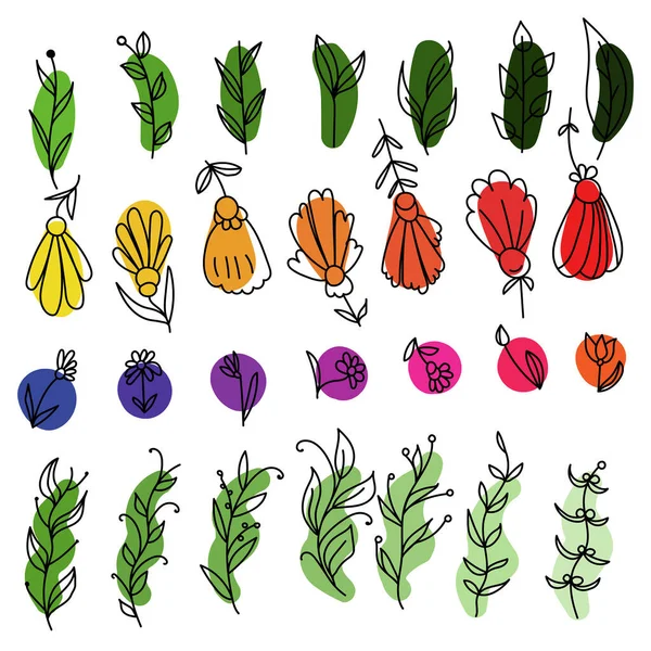 Ensemble Plantes Fleurs Dessinées Main Sur Des Taches Colorées Pour — Image vectorielle