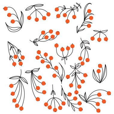 Çeşitli karalama meyveleri ve ince çizgili yapraklar, kart tasarımı için dallar, davetiyeler, vs. vektör illüstrasyonu