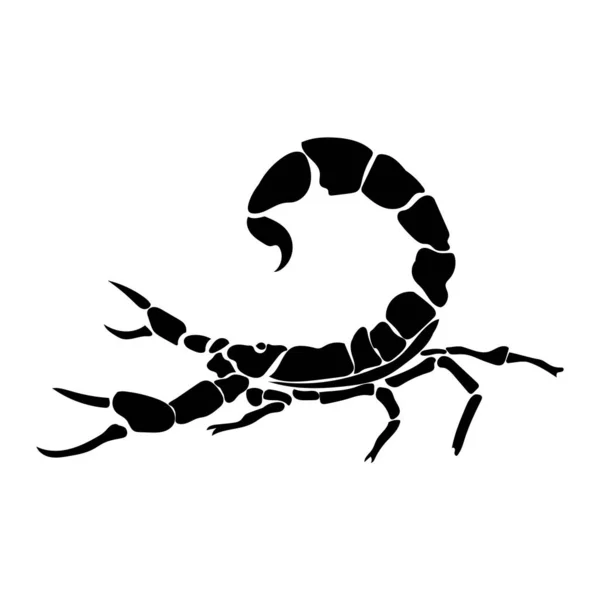 Znak Zodiaku Scorpio Sylwetka Jeden Znaków Horoskop Lub Trujący Stawonogi — Wektor stockowy