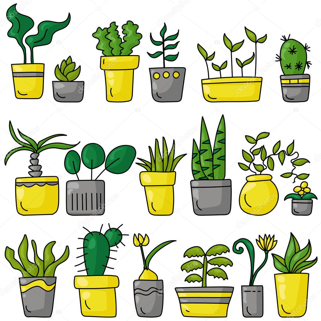 A set of indoor various plants in a doodle style, different types of blooming and not only indoor plants in bright gray and yellow pots vector illustration