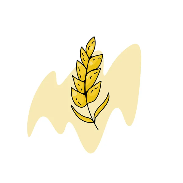 Spikelet Pictogram Logo Voor Bakkerij Bakken Graanproducten Graanplant Abstracte Vlek — Stockvector