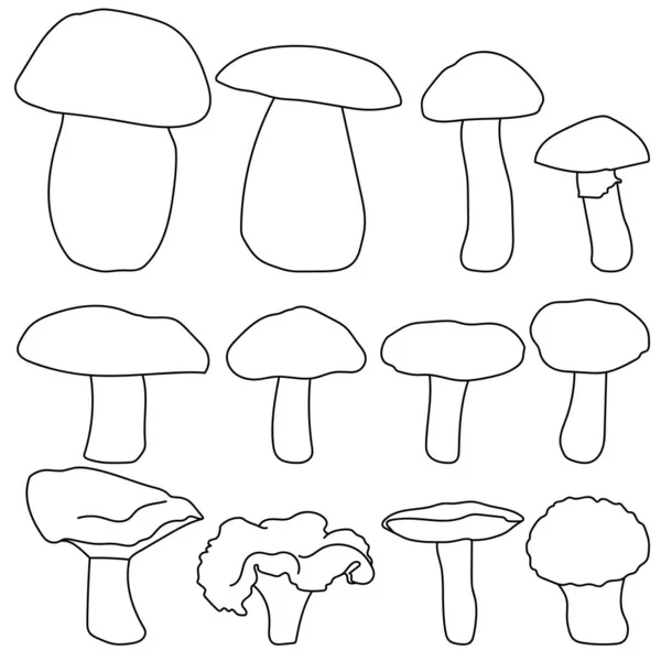 Set Funghi Commestibili Funghi Berretto Contorno Varie Forme Dimensioni Illustrazione — Vettoriale Stock